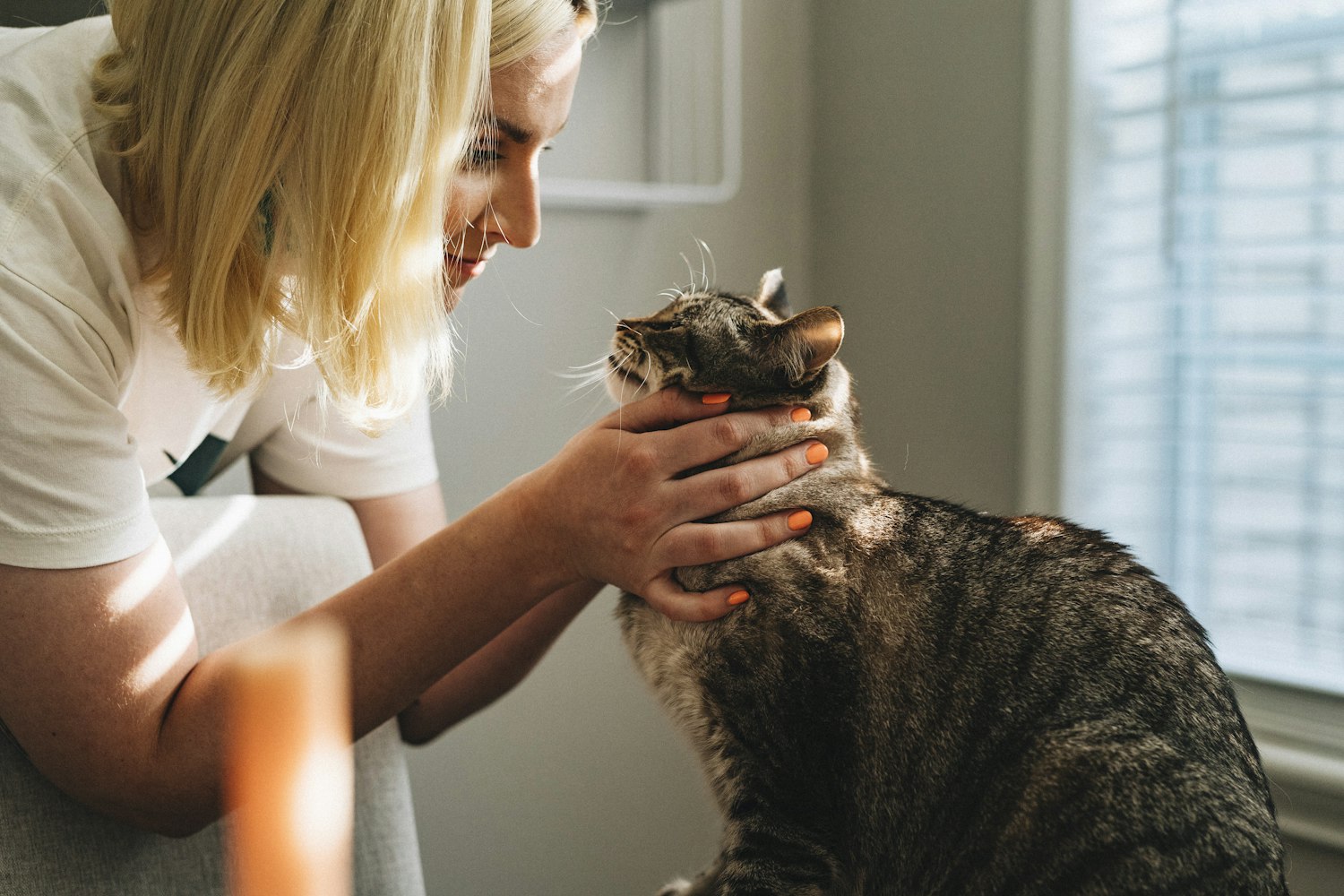 Veterinarian gently examining a pet