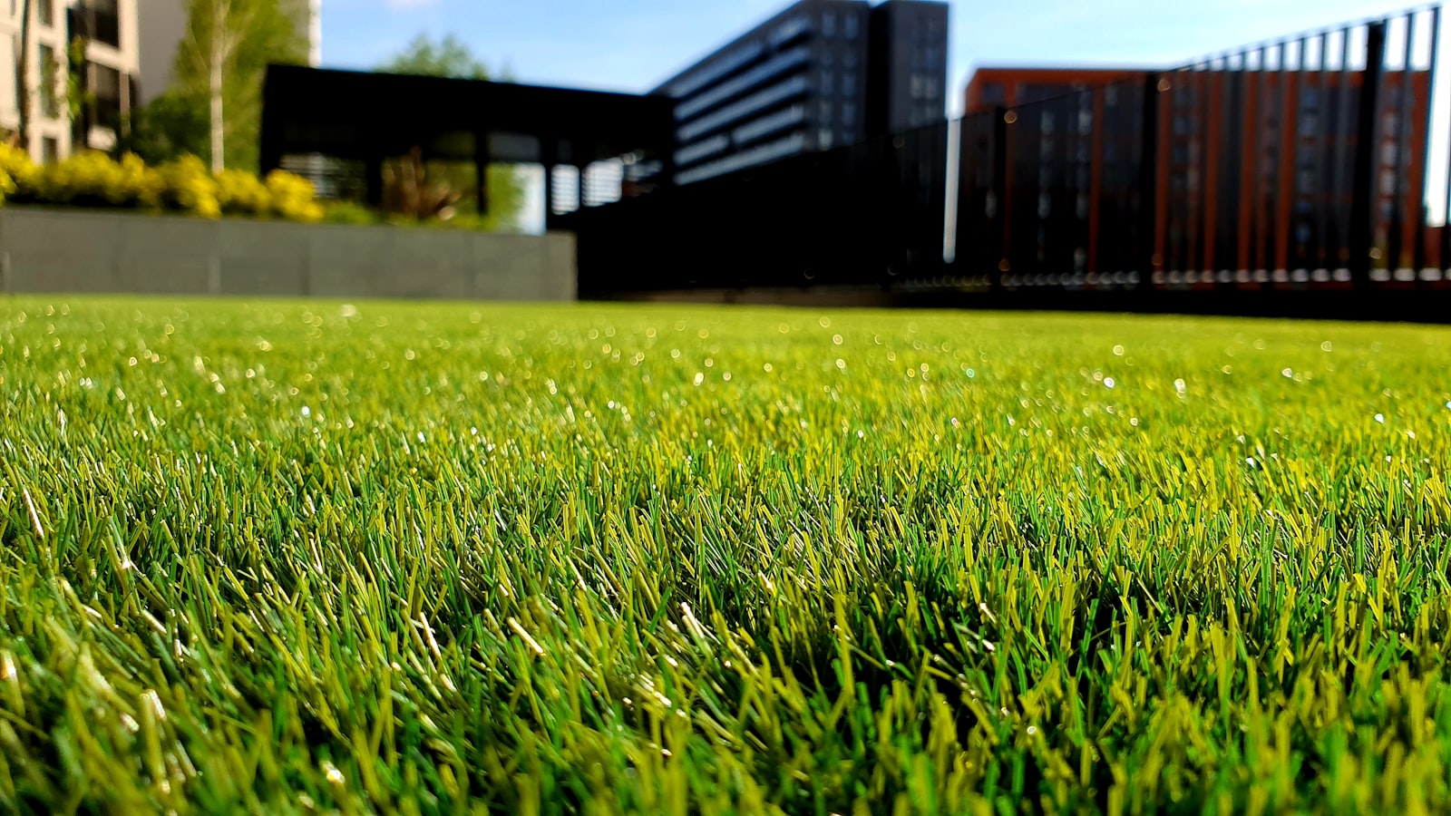 Freshly cut green grass close-up