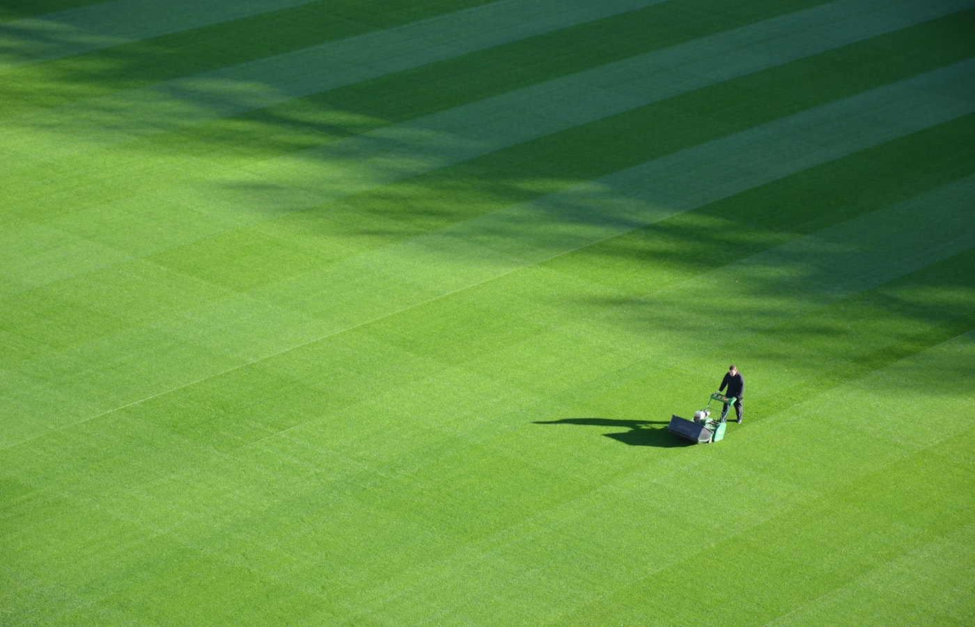 The same lawn after regular mowing