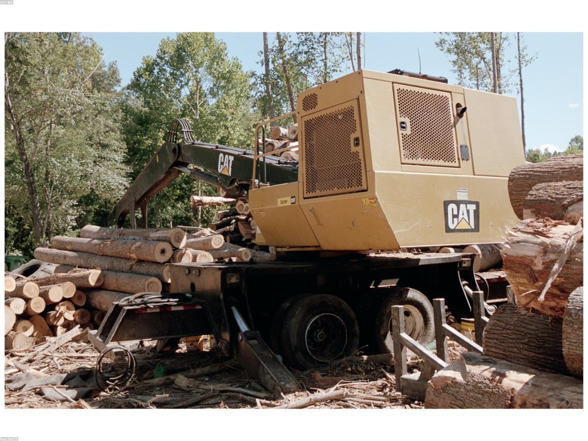 Tree crew with equipment