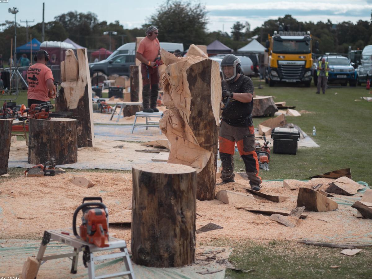 Tree removal with chainsaw